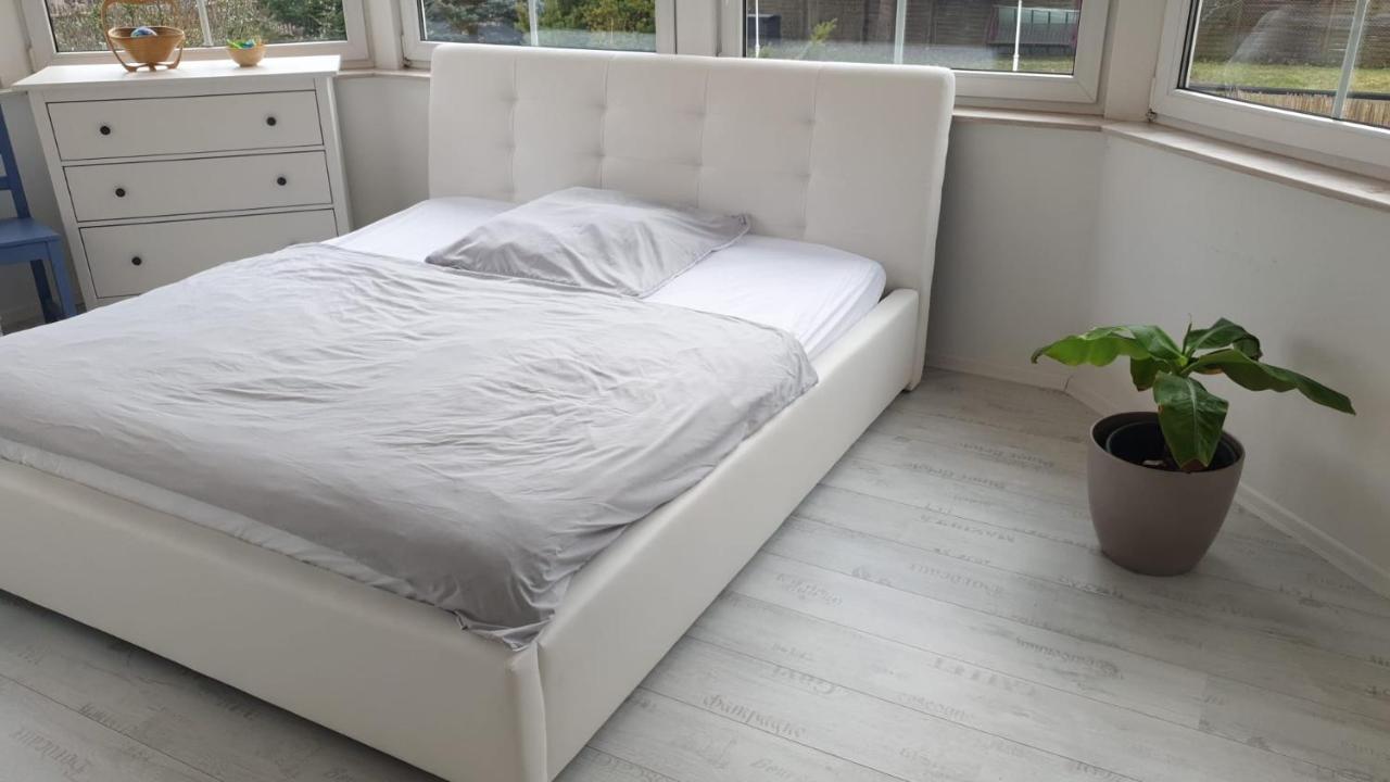 Grosse & Voll Ausgestattete Apartments, Studios, Doppelzimmer, Workspace, Parkplatz, Netflix, Prime & Schnelles Wifi In Ruhiger Lage Mit Garten Rudolstadt Exterior foto