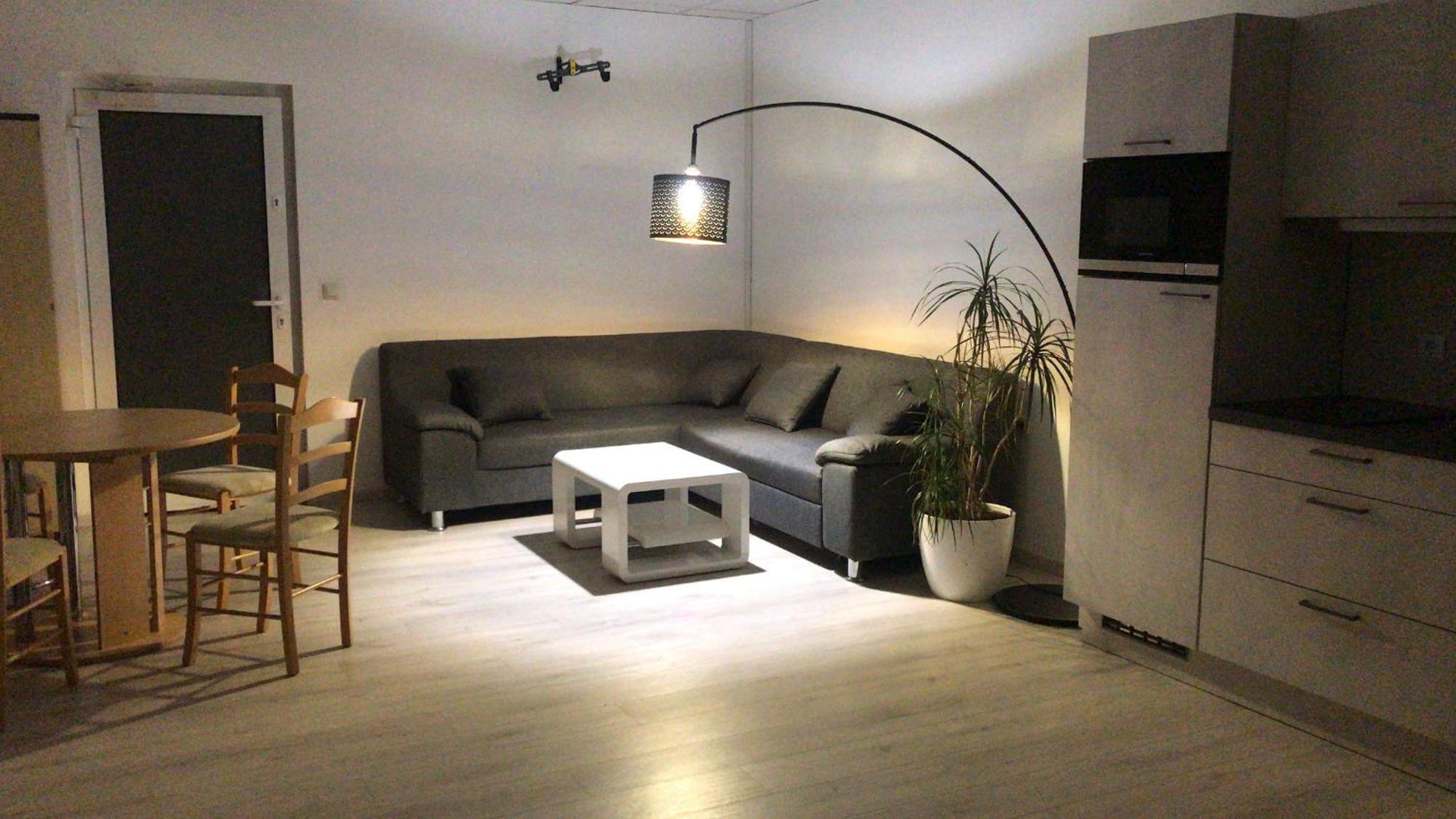 Grosse & Voll Ausgestattete Apartments, Studios, Doppelzimmer, Workspace, Parkplatz, Netflix, Prime & Schnelles Wifi In Ruhiger Lage Mit Garten Rudolstadt Exterior foto