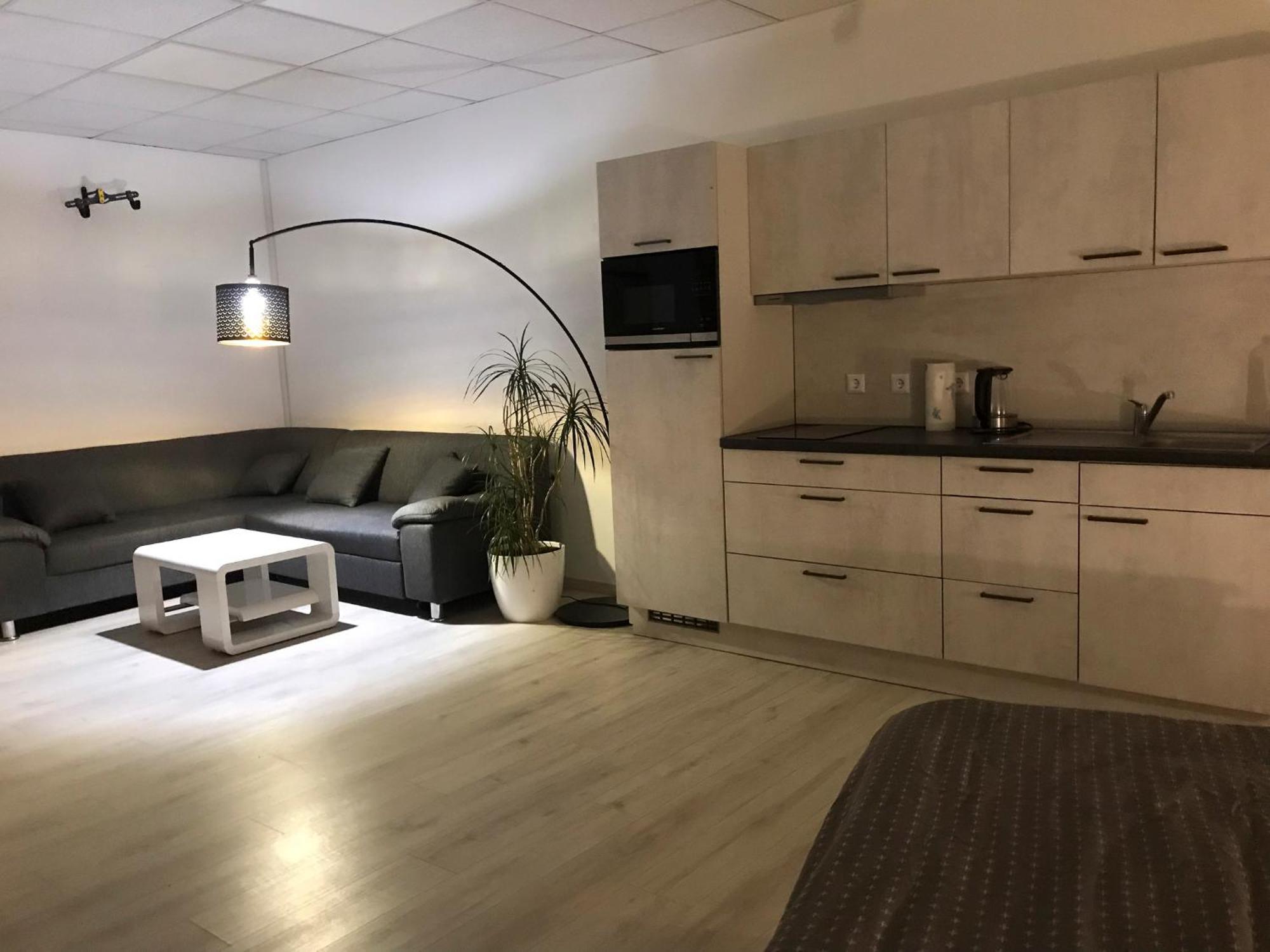 Grosse & Voll Ausgestattete Apartments, Studios, Doppelzimmer, Workspace, Parkplatz, Netflix, Prime & Schnelles Wifi In Ruhiger Lage Mit Garten Rudolstadt Exterior foto