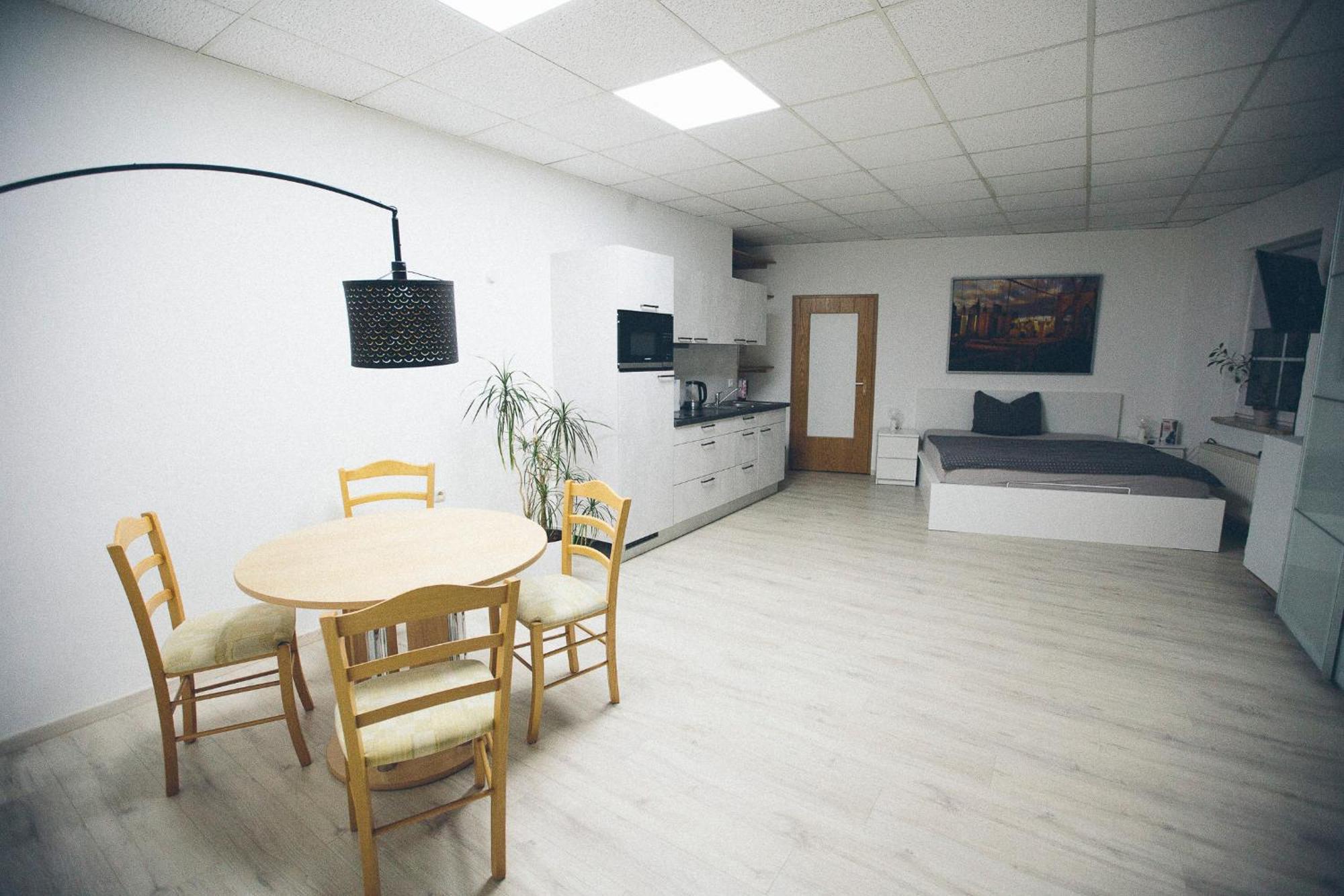 Grosse & Voll Ausgestattete Apartments, Studios, Doppelzimmer, Workspace, Parkplatz, Netflix, Prime & Schnelles Wifi In Ruhiger Lage Mit Garten Rudolstadt Exterior foto